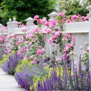 Meet your Posher, Carolyn